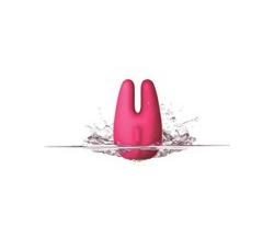   Jimmy Jane Form 2 Vibrator 